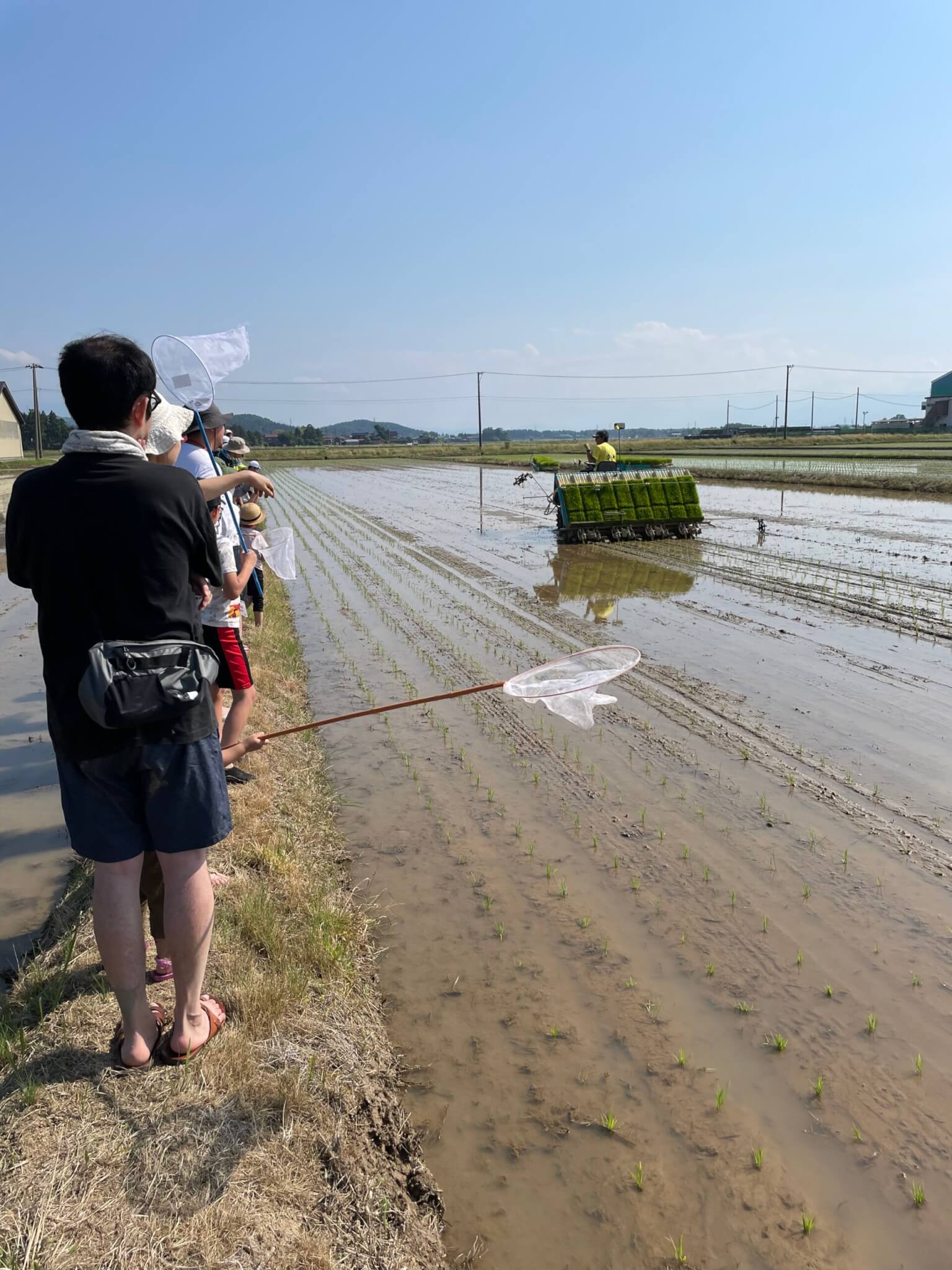 虫取りと田植え機見学！