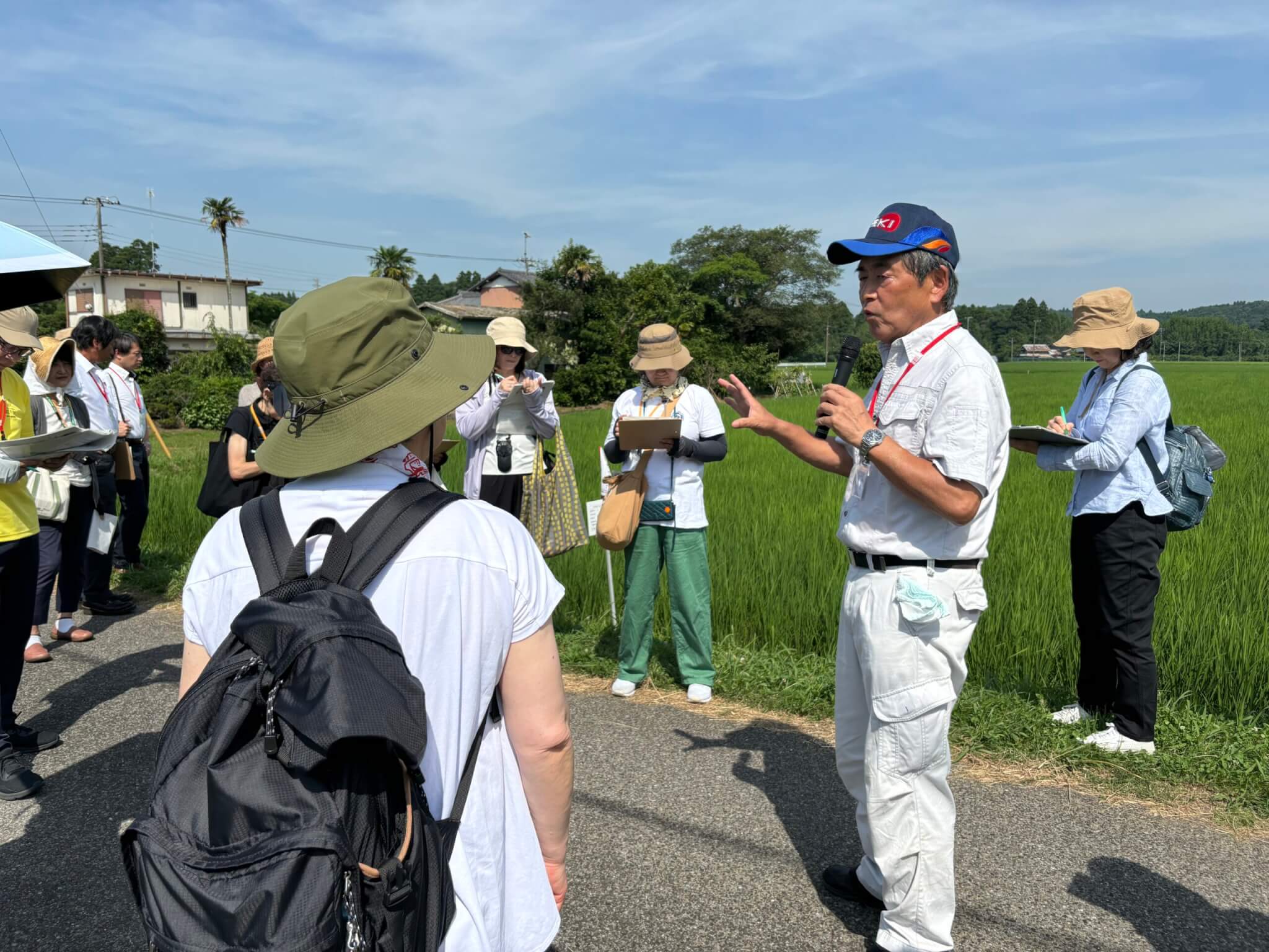 圃場での確認、有機栽培方法の説明を聞きました。