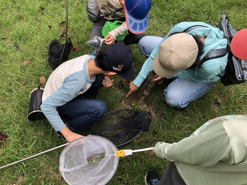 都心の生き物観察会in東京大学