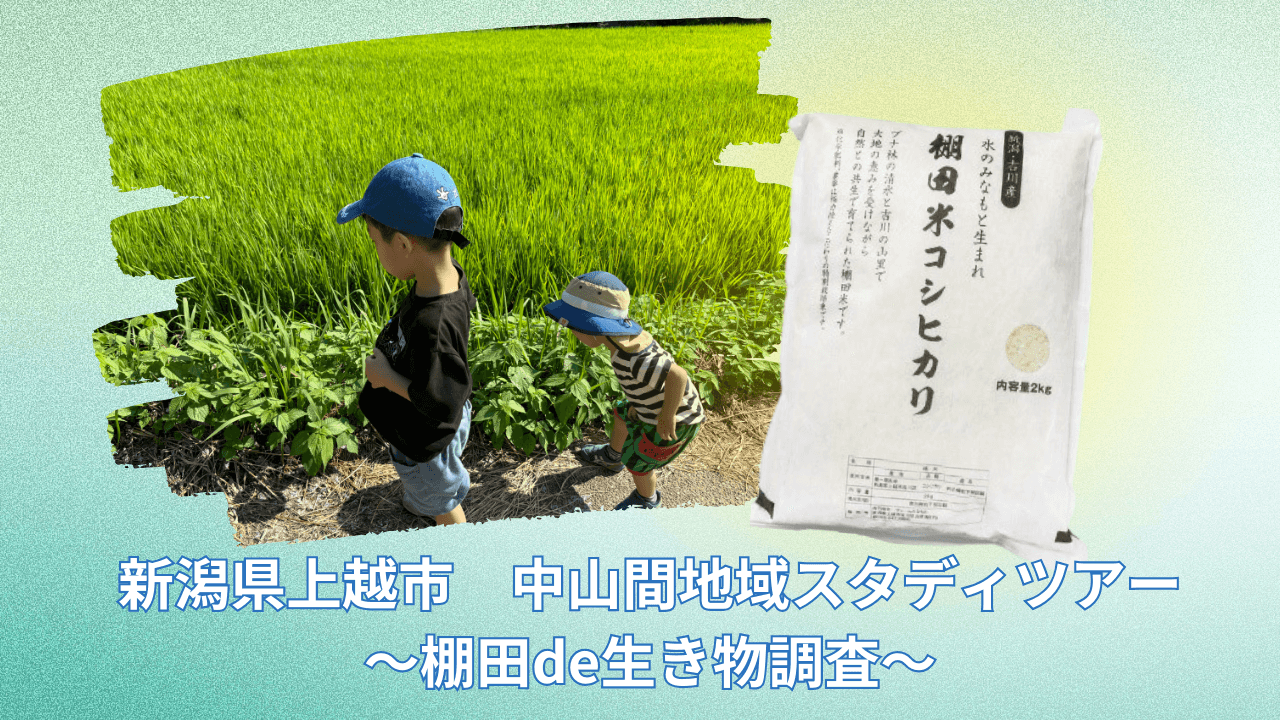 新潟県上越市　中山間地域スタディツアー　～棚田de生き物調査～