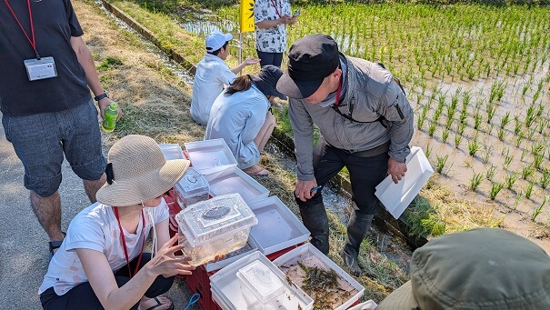 田んぼde生き物調査＆オリジナルけん玉作り＆農業と再生可能エネルギーを学ぼう